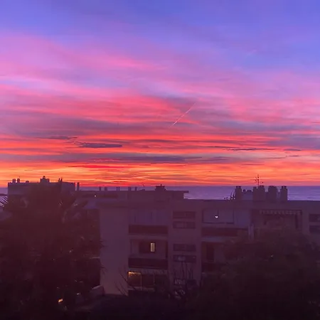 Lägenhet Les Palmiers Beau T2 Vue Mer 2Mn De La Plage A 150M Avec Parking Prive *