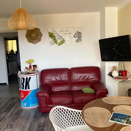 Apartment Les Palmiers Beau T2 Vue 2mn De La A 150m Avec Parking Prive