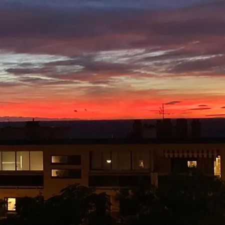 Les Palmiers Tres Beau T2 Vue 2mn De La Plage150m Διαμέρισμα