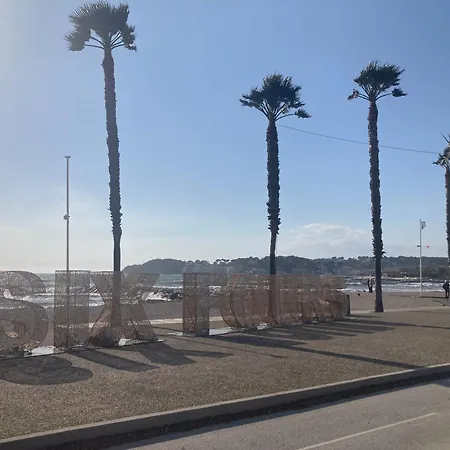 Les Palmiers Beau T2 Vue 2mn De La A 150m Avec Parking Prive Apartment Six-Fours-les-Plages