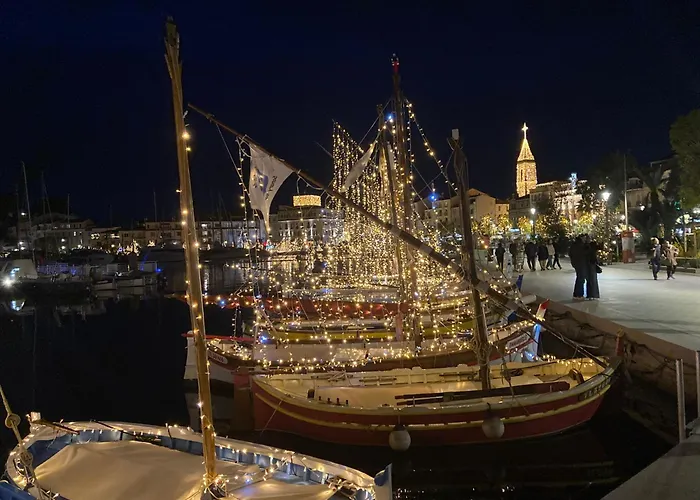 Les Palmiers Tres Beau T2 Vue 2mn De La Plage150m *