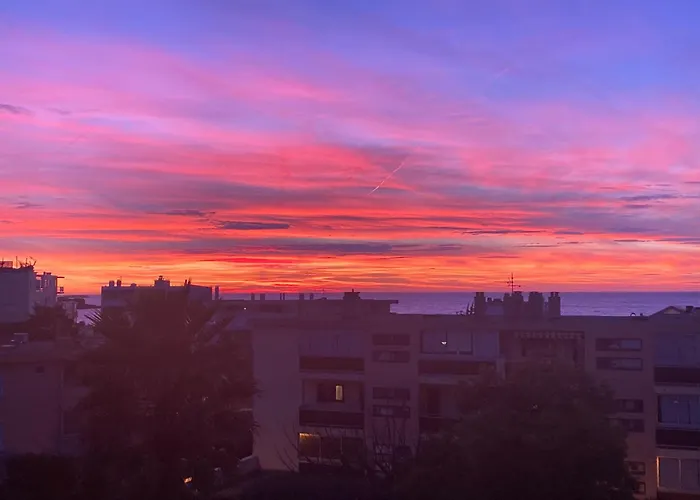 Διαμέρισμα Les Palmiers Tres Beau T2 Vue 2mn De La Plage150m *