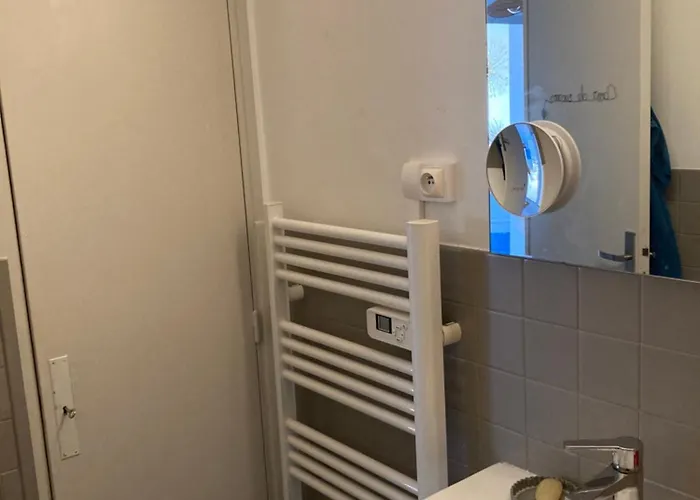 Les Palmiers Tres Beau T2 Vue 2mn De La Plage150m