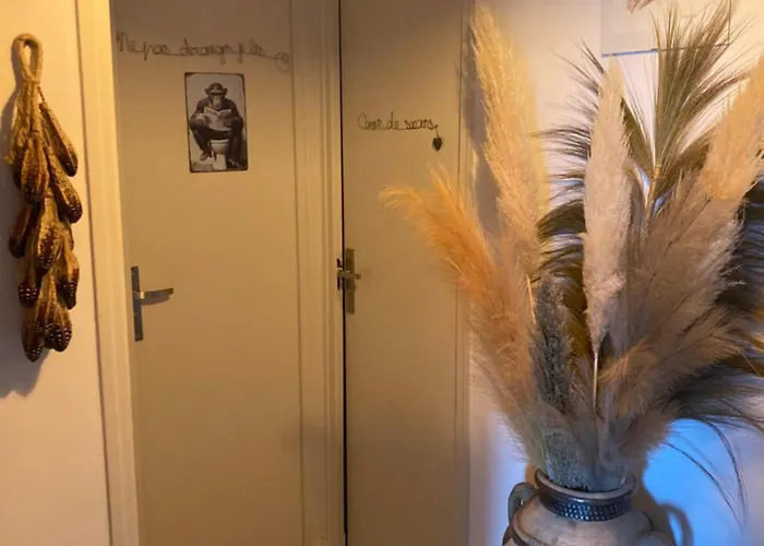 Les Palmiers Tres Beau T2 Vue 2mn De La Plage150m