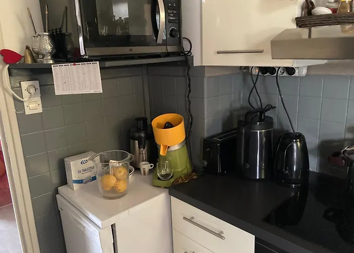 Les Palmiers Tres Beau T2 Vue 2mn De La Plage150m Διαμέρισμα *