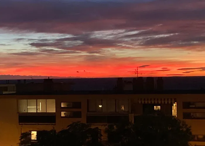 Les Palmiers Tres Beau T2 Vue 2mn De La Plage150m Διαμέρισμα